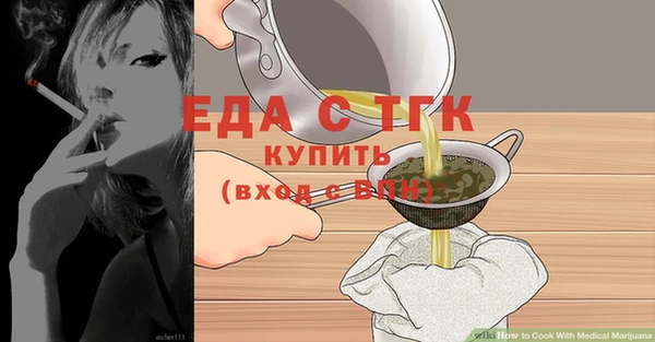 индика Касимов