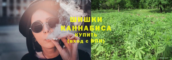 индика Касимов