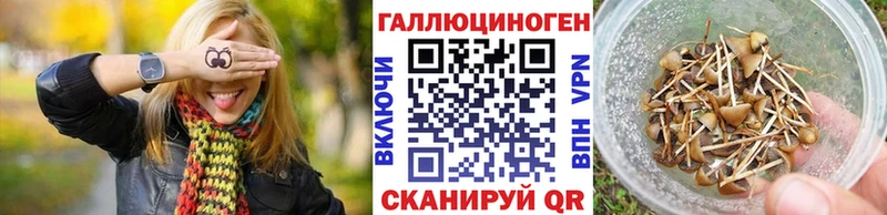 Купить закладки  Грязовец  Галлюциногенные грибы ЛСД 