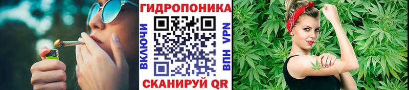 МАРИХУАНА ГИДРОПОН  Купить  Грязовец 